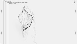 Anna Cairns — Graphic and Type Design